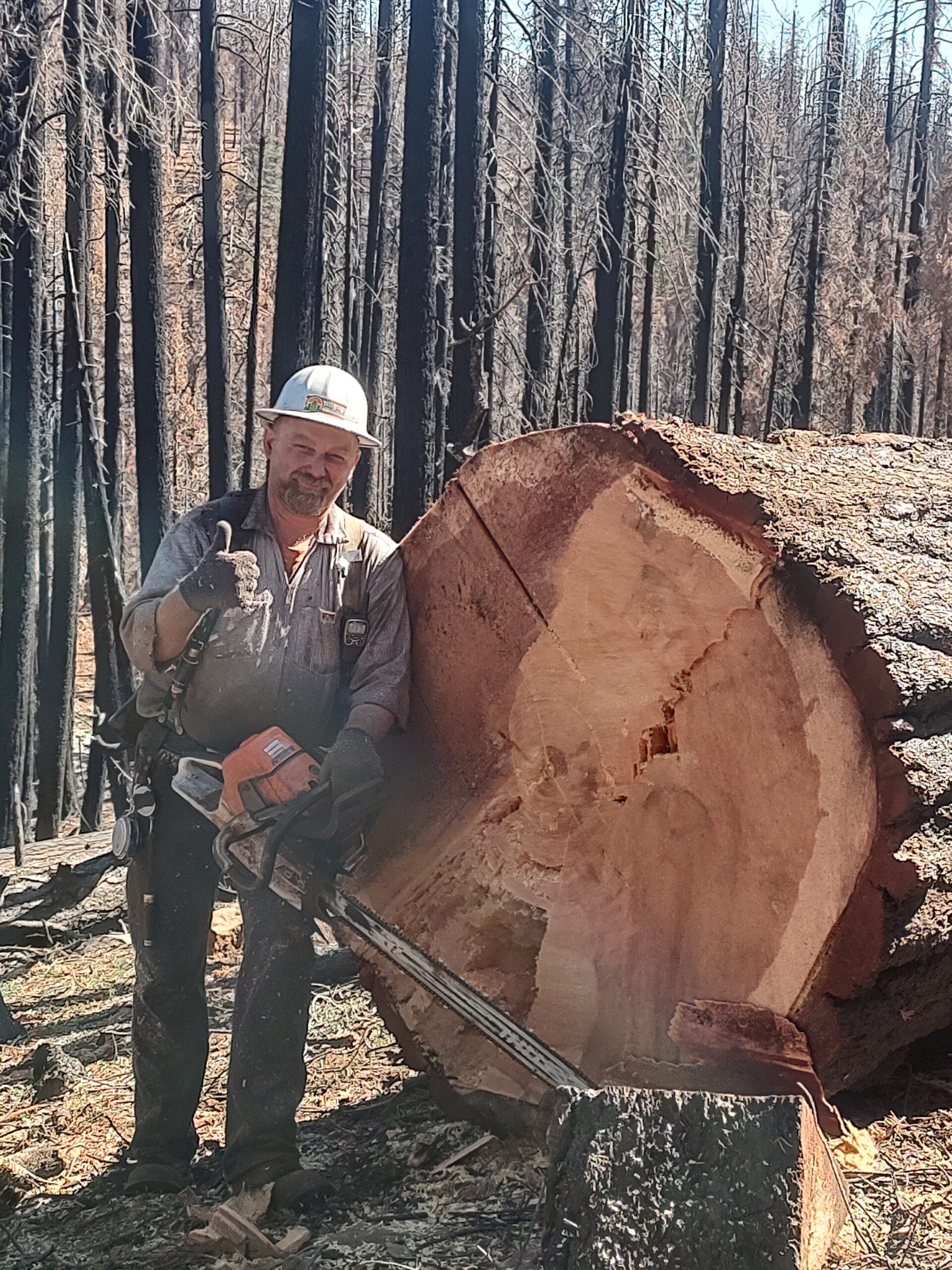 Aaron next to a felled tree with a chainsaw and thumbs up.