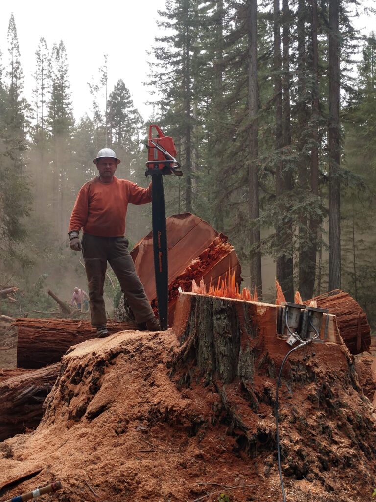 Aaron victorious over a tree stump, with his chainsaw in hand.