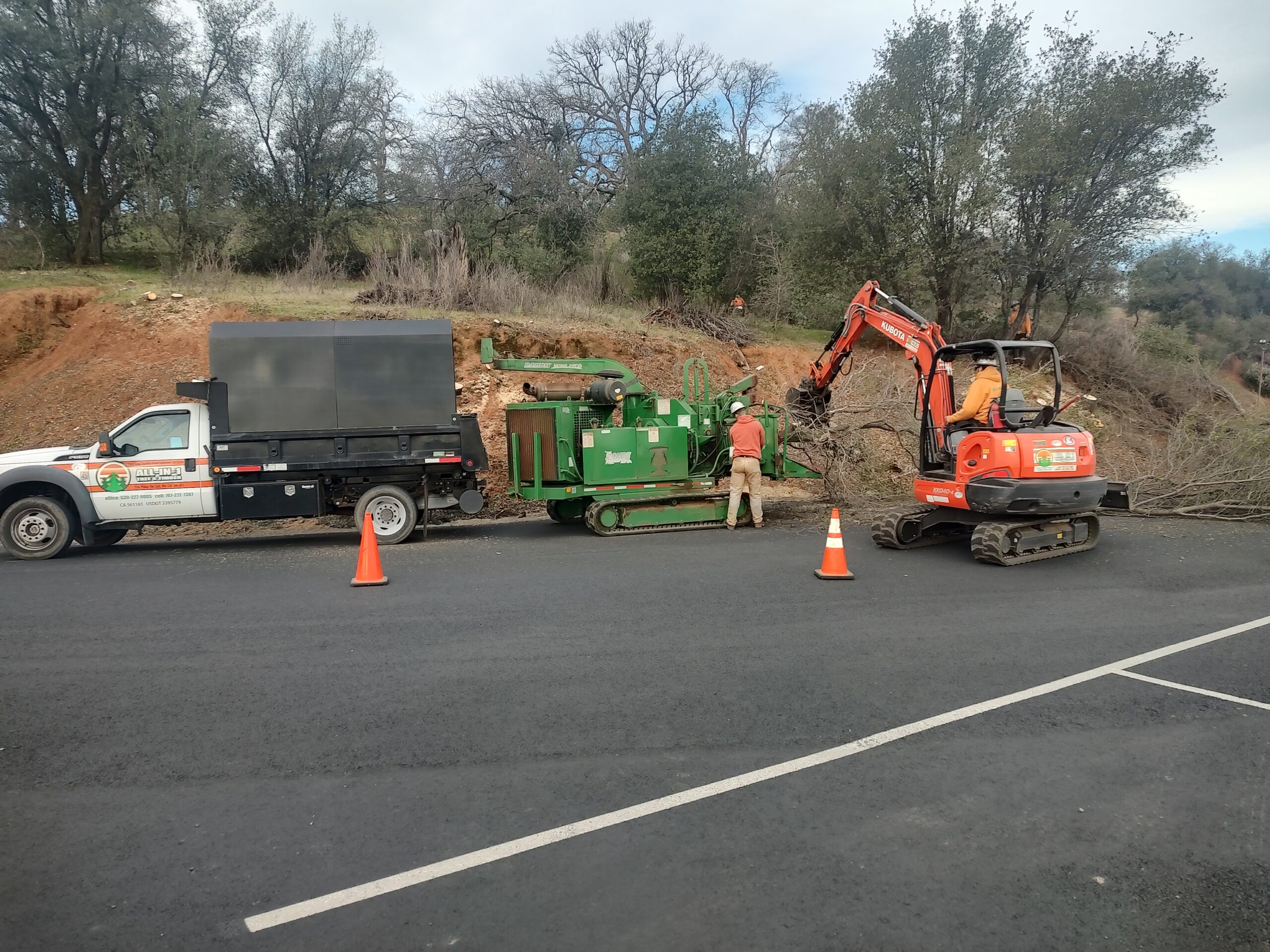 Commercial tree and brush clearing along a highway in Redding, CA.